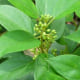 composition-4 composition-4